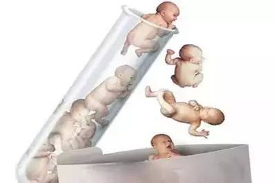 极光生殖